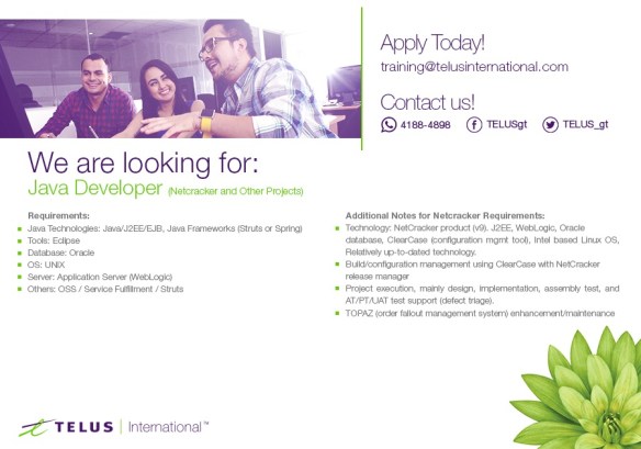 JavaDeveloper_Netcracker