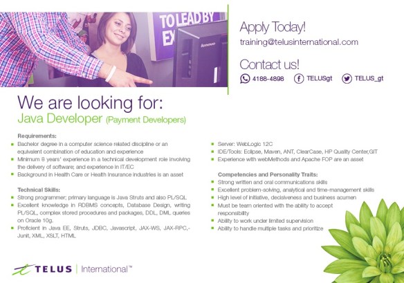 JavaDeveloper_PaymentDevelopers