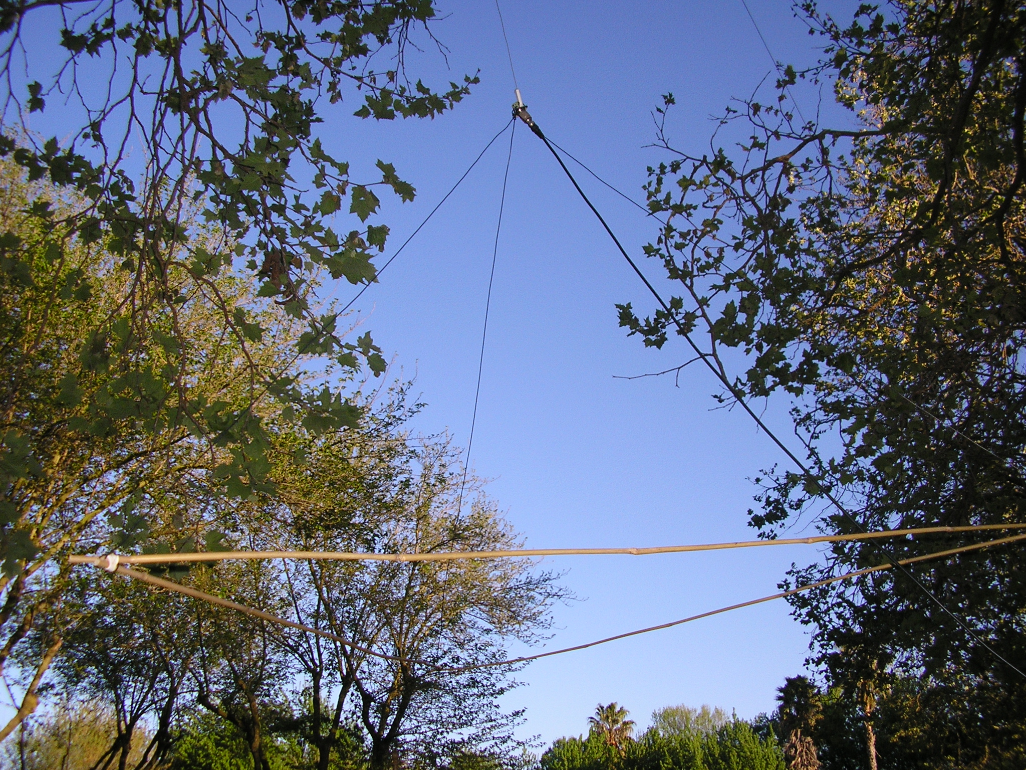 Jungle Antenna for 51 Mc N6CC Jungle Antenna for 51 Mc N6CC