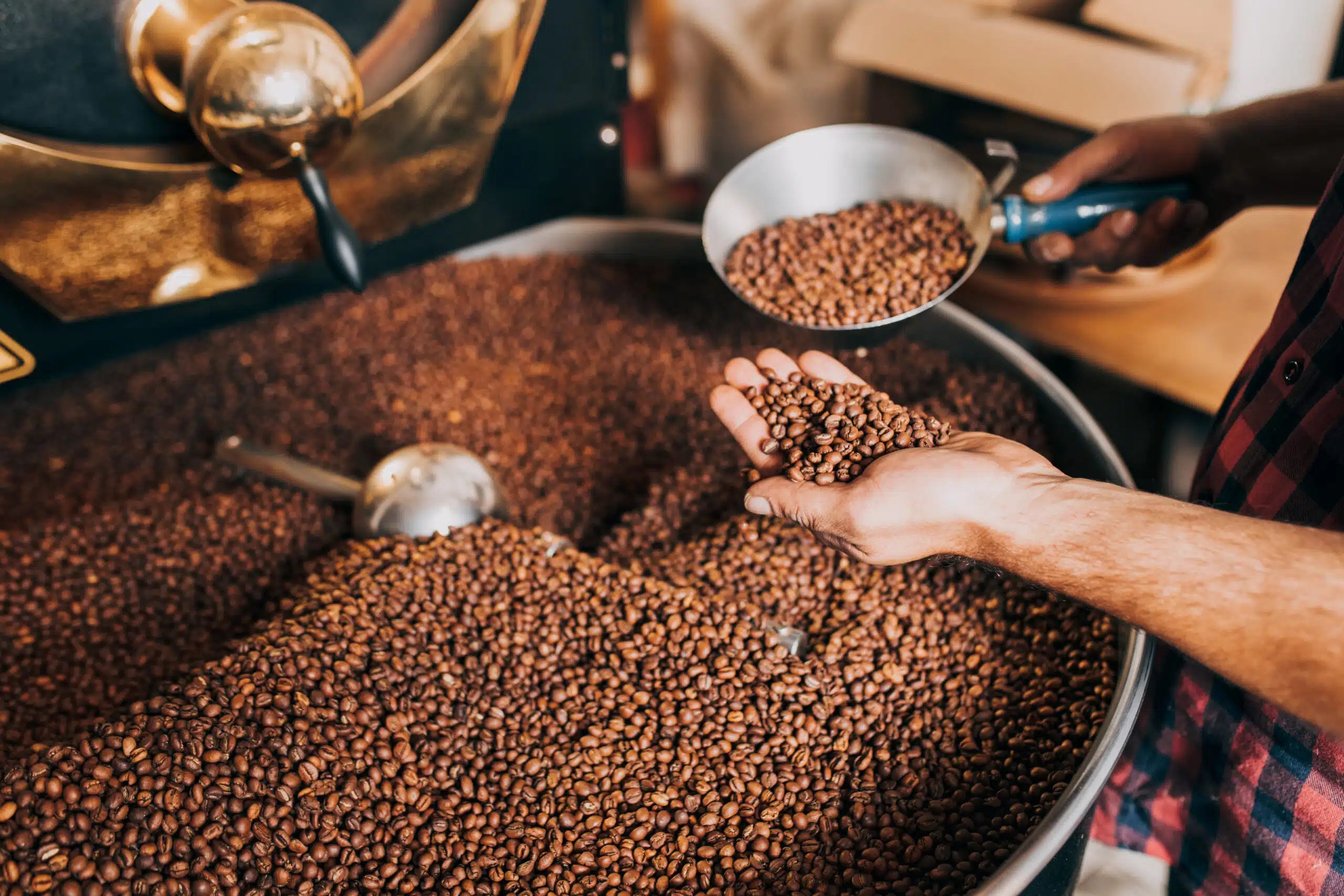 Single Origin