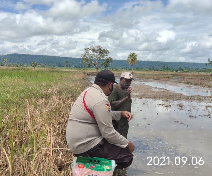 Binmas Noken Beri Pendampingan Bagi Warga Bumi Raya Untuk Tingkatkan Hasil  Pertanian