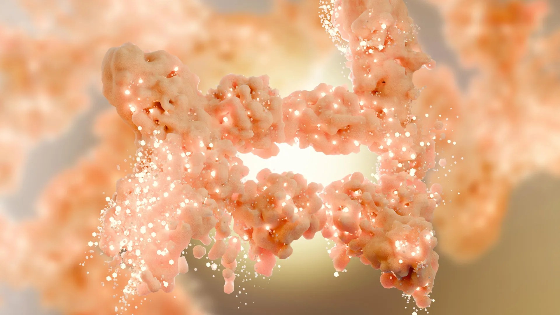Experimental compound may burn fat without muscle loss seen in GLP-1 drugs