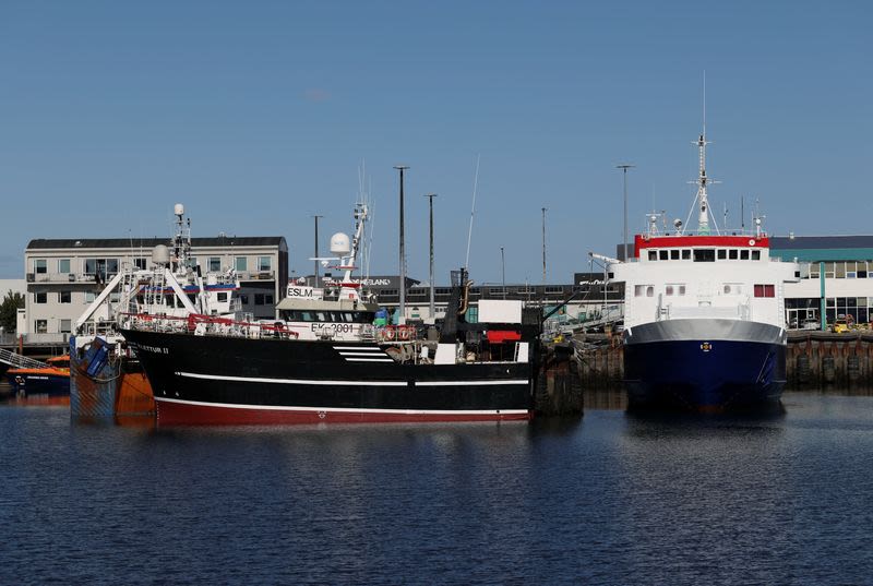 Close race as Iceland votes on restarting EU membership talks