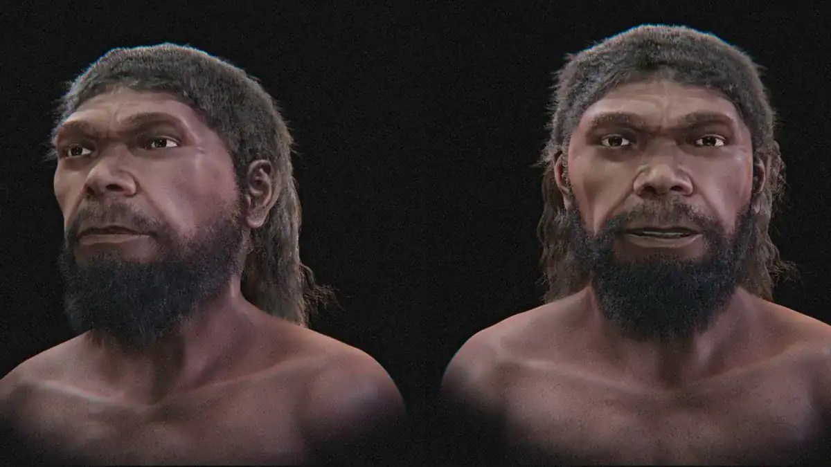 Ученые воссоздали лицо древнейшего Homo sapiens по черепу из Марокко