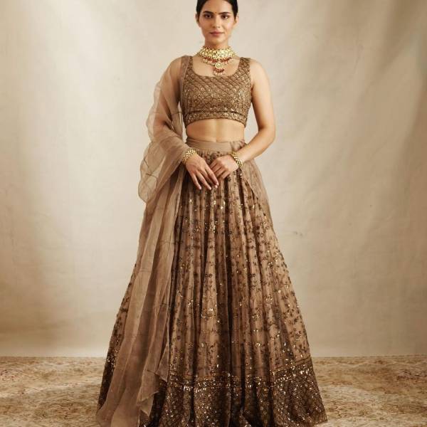 Sequence Work Net Lehenga Choli Navratri