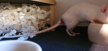 20211101_165733 20211101_165733