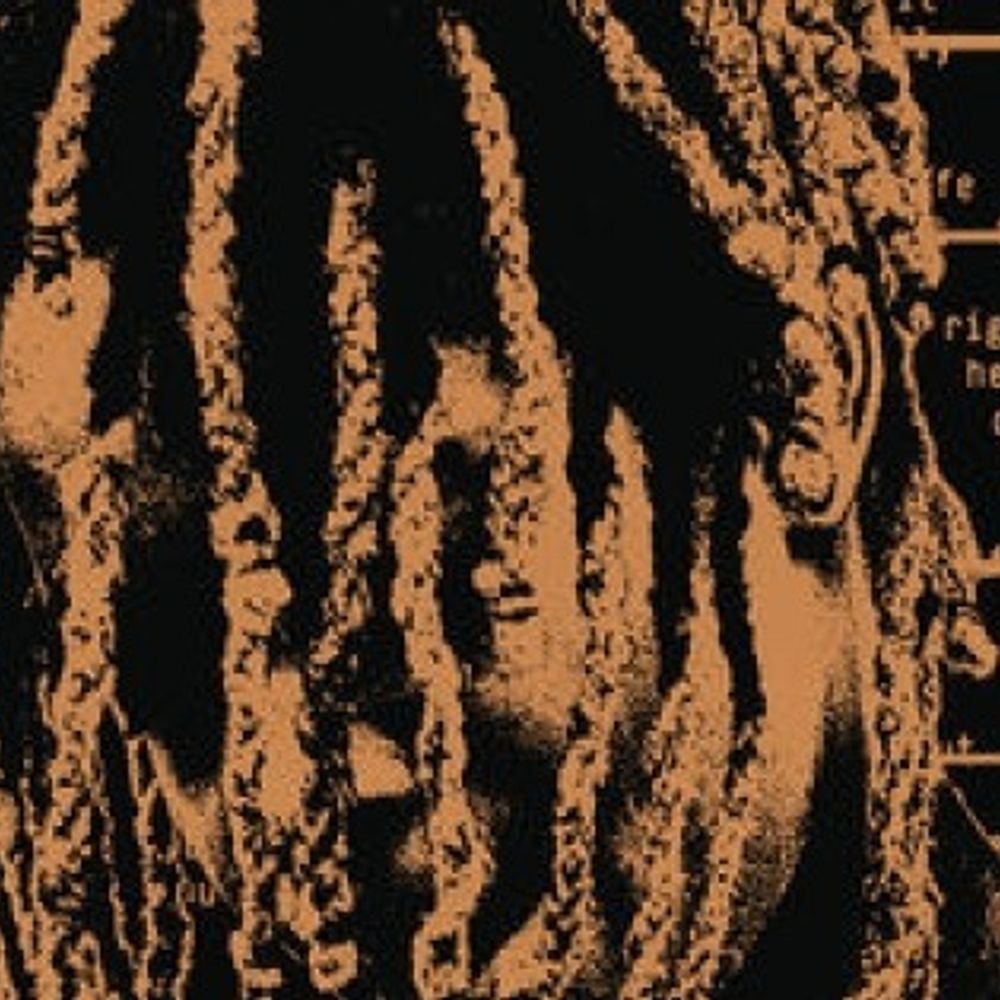 Baixar música da koffe toast. Koffee Toast Mp3 Download Song Naijavibes