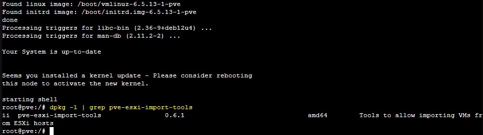 VMWare ESXi to Proxmox: VM Migration Tutorial (30) VMWare ESXi to Proxmox: VM Migration Tutorial (30)