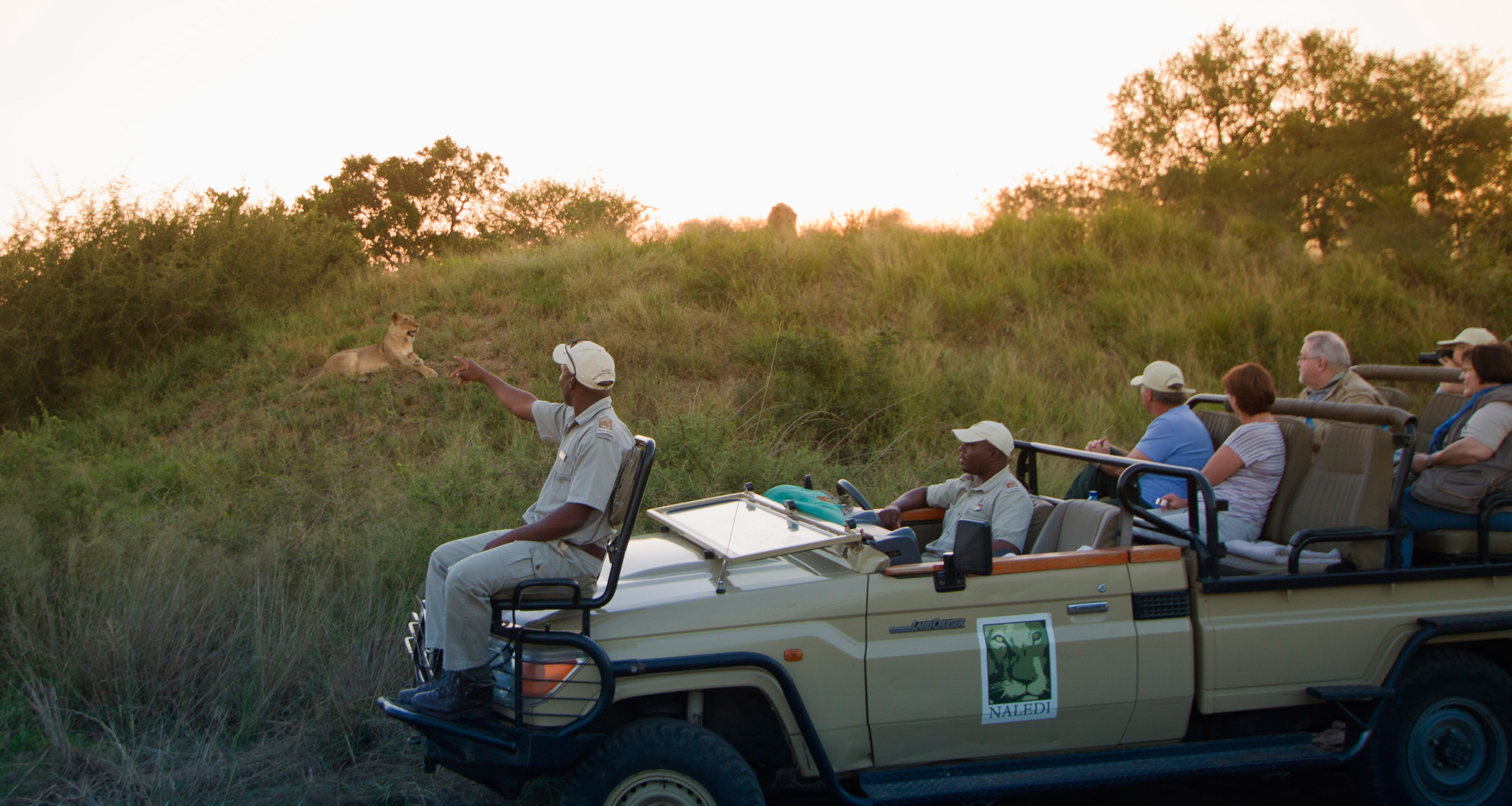 Guide Small Naledi Private Game Reserve South Africa