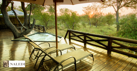 Naledi Game Lodge Naledi Private Game Reserve South Africa