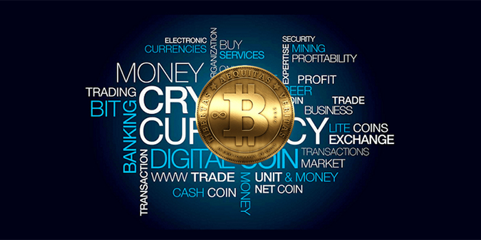 Classifica migliori criptovalute emergenti su cui puntare. Criptovalute, le migliori sulle quali puntare - Napolitan.it