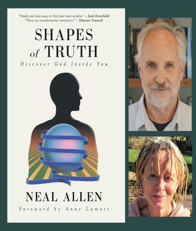 Book cover of Shapes of Truth by Neal Allen