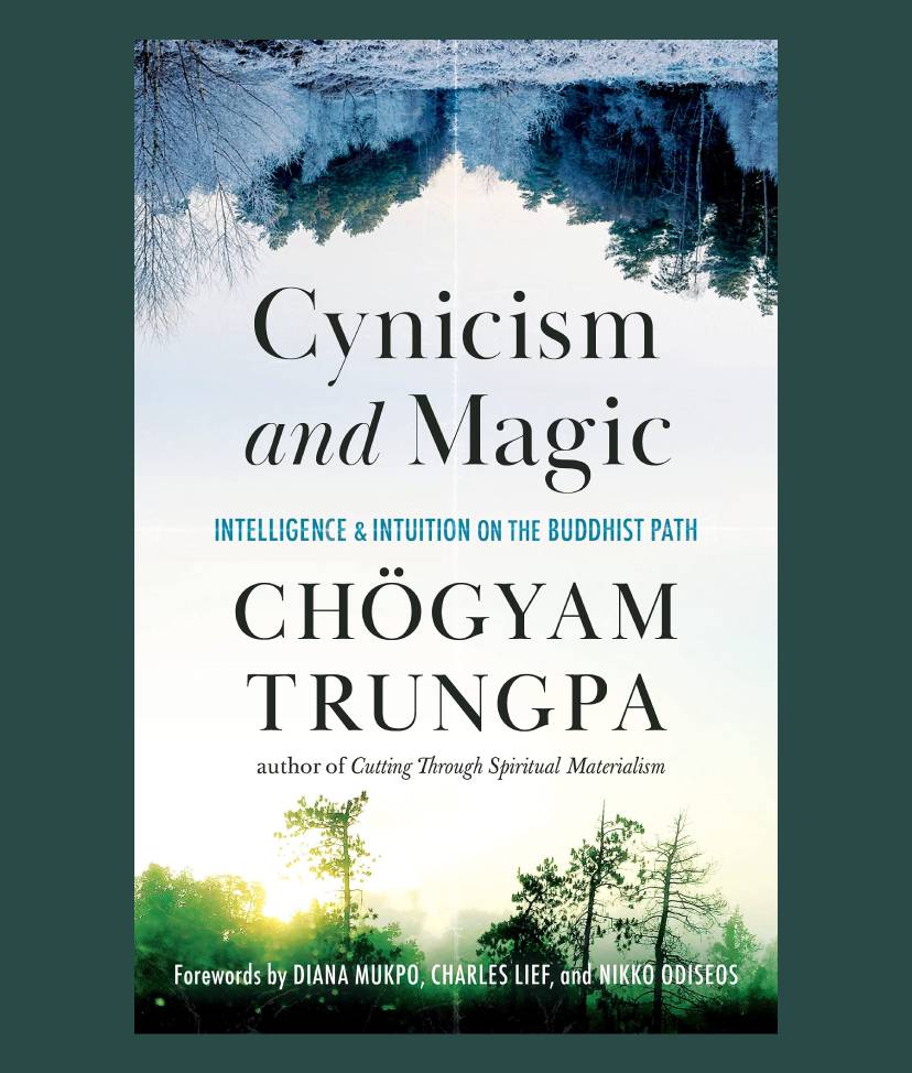 Cynicism & Magic book cover
