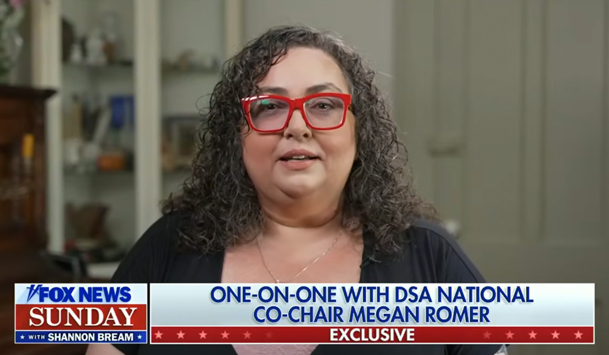 The DSA Wants to Abolish America The DSA Wants to Abolish America