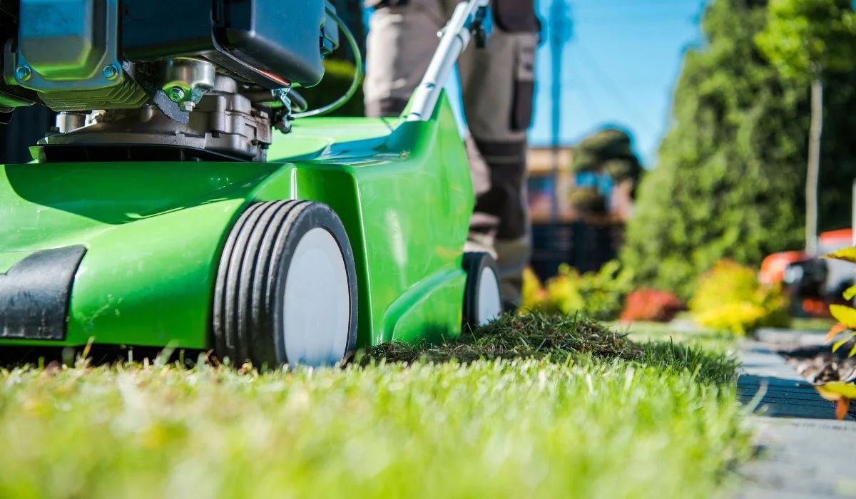 Close-up of a green push lawn mower cutting grass along a paved garden path on a sunny day
