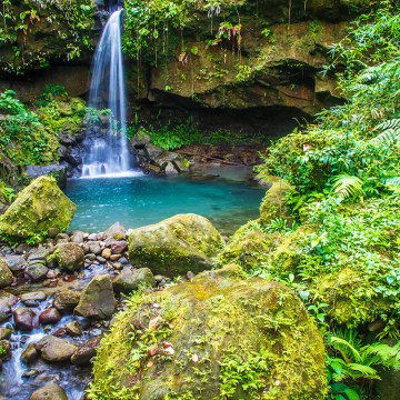 The Emerald Pool, Dominica