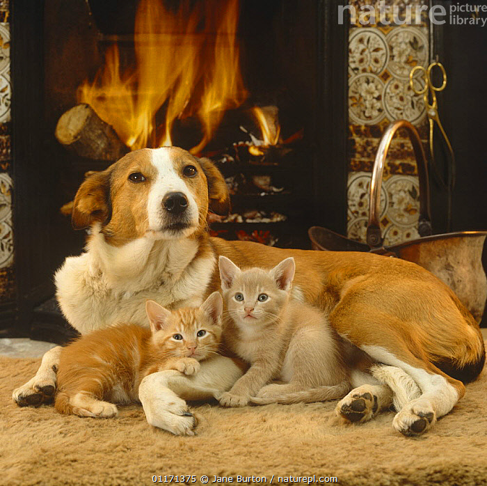 Best Fireplace Accessories For Your Home The Home Depot