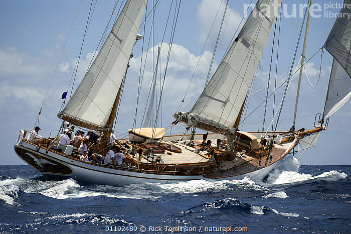 Whitehawk is a 32 m / 105′0″ luxury sailing yacht. Nature Picture Library Peter De Savery S Whitehawk During Antigua Classic Yacht Regatta 2008 April 19 Race 2 Rick Tomlinson