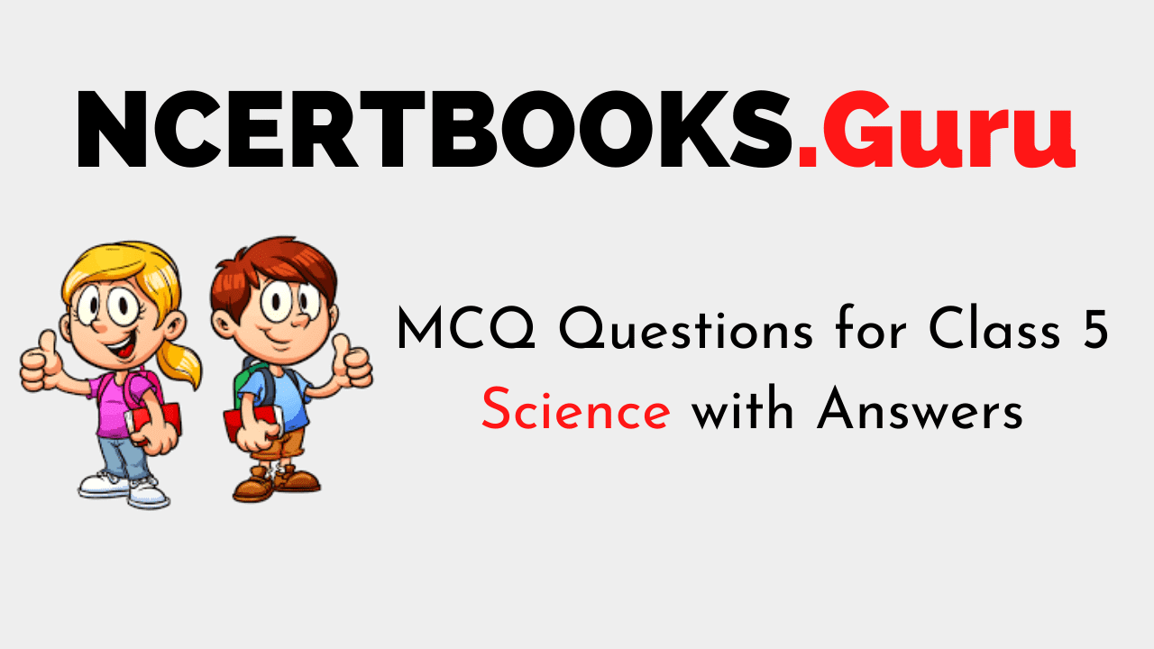 mcq questions for class 5 science with answers 5th class evs worksheets pdf download ncert books