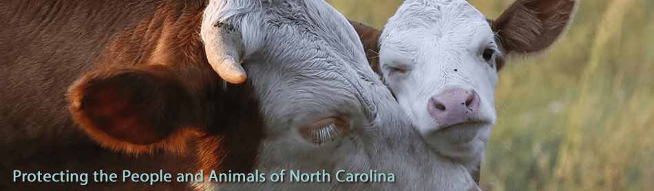 The list below contains controlled substance ce that has been approved by the ncvmb. The North Carolina Veterinary Medical Board Ncvmb