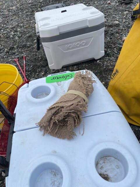 Burlap disks