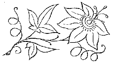 embroidery pattern passion flower needlenthread com