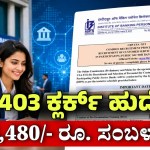 IBPS 11403 posts