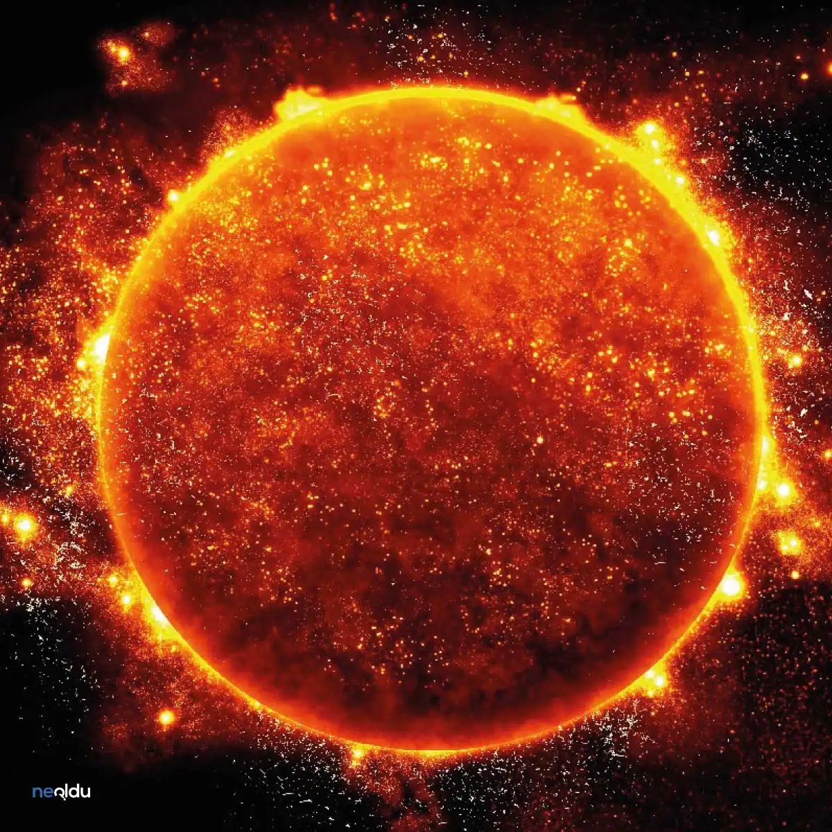Facts to know about the sun
