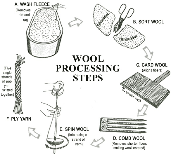 Carding Wool Process Understanding Wool Processing Steps - Artistic High Resolution Light Illustrations | Free Download