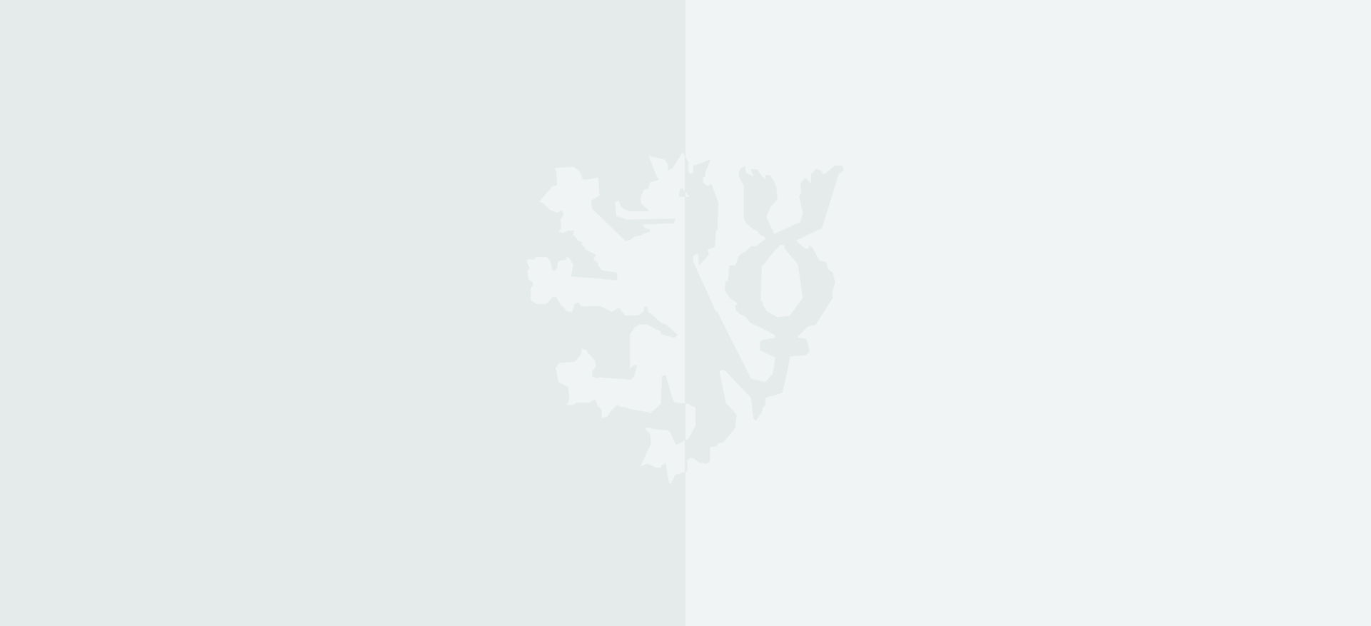 Banner Bg