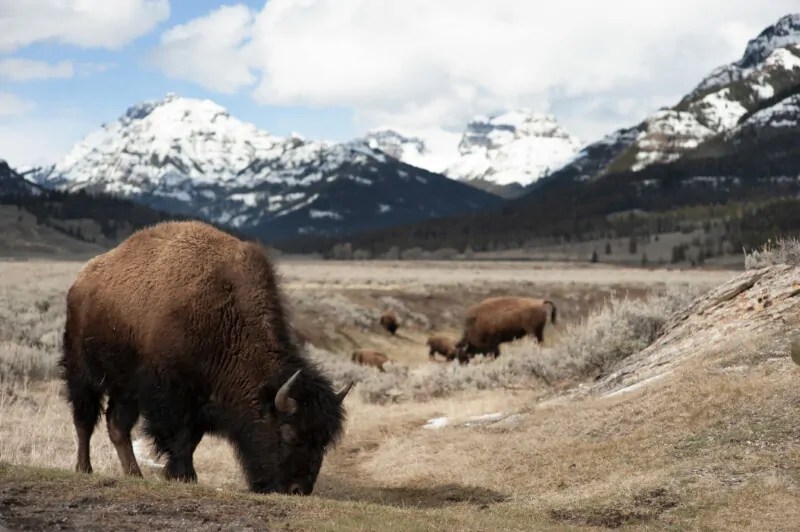 Review: NatGeo’s ‘National Parks: USA’