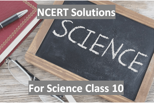 NCERT Solutions For Class 10 Science Net Explanations