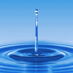 It's the week to learn how water works (literally)