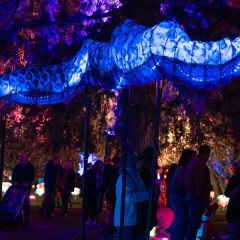 Big weekend of festival action across the New England