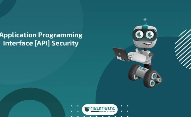 Application Programming Interface Security [API Security]