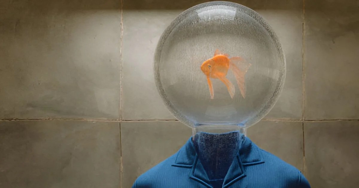 The goldfish memory myth
