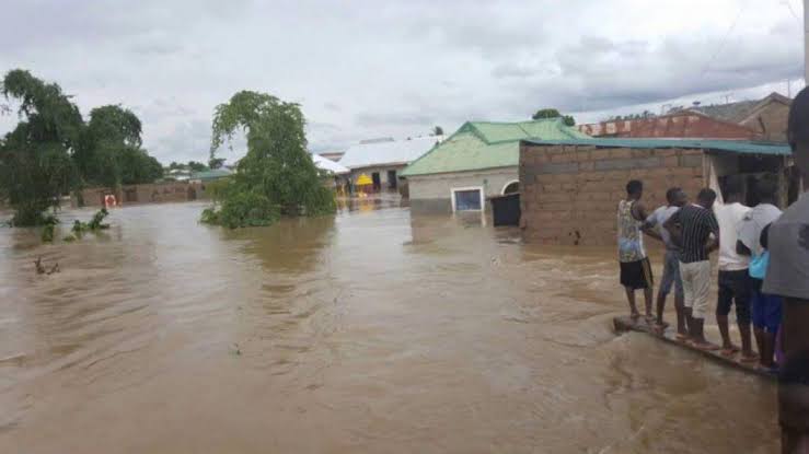 FLOOD: Emu, Terry To Chair Mgt Committee