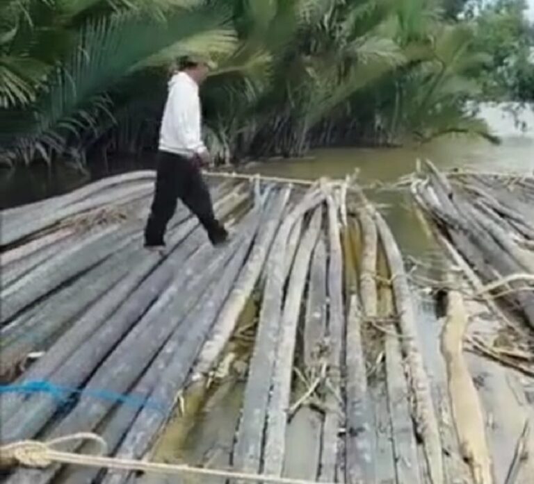 Nelayan sebatik minta penegak hukum hentikan penyelundupan kayu nibung