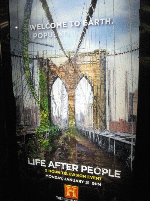 Randomness Normalblog Randomness Normalblog