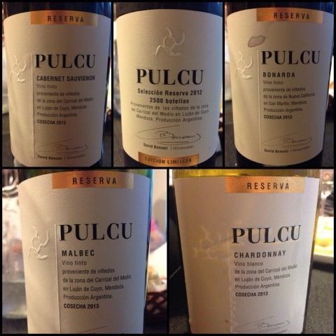 Pulcú: el vino de David Bonomi