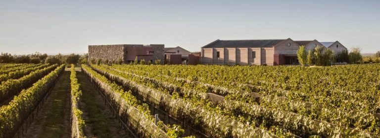 Chakana Wines