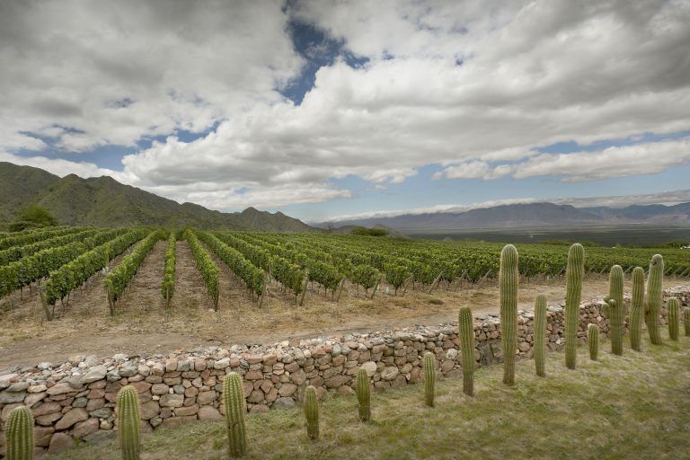 Conociendo San Pedro de Yacochuya