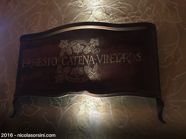 Ernesto Catena Vineyard