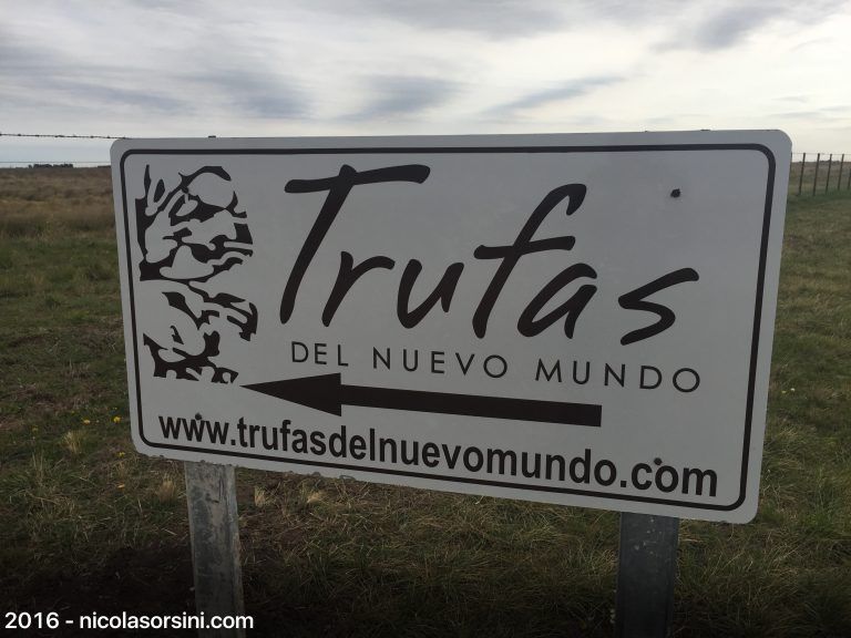 Cazando trufas con Catena Zapata