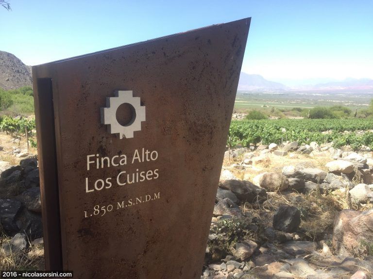 Finca Altos Los Cuises o el paraíso hecho realidad