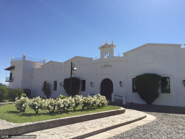 Bodega El Esteco – Visita, lanzamientos y proyectos