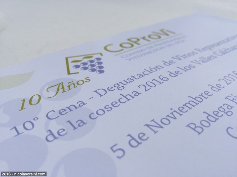 CoProVi 2016 – El Reporte