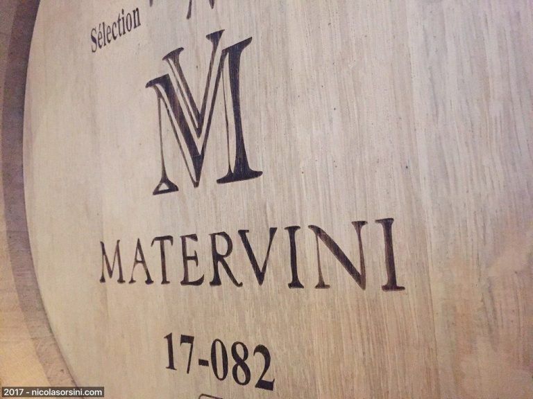 Conociendo Bodega Matervini