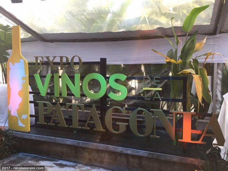 Expo Vinos de la Patagonia