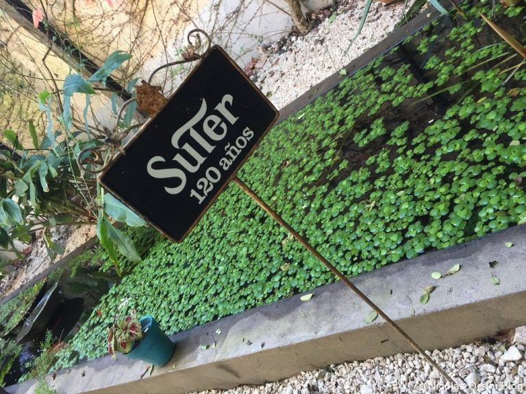 Bodega Suter